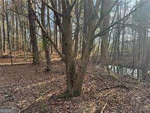 2949 Rosebud Road Loganville, GA 30052 - Photo 31 of 39