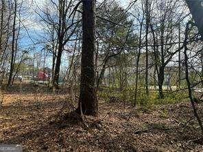 2949 Rosebud Road Loganville, GA 30052 - Photo 34 of 39