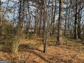 2949 Rosebud Road Loganville, GA 30052 - Photo 35 of 39