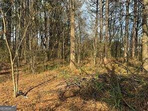 2949 Rosebud Road Loganville, GA 30052 - Photo 36 of 39