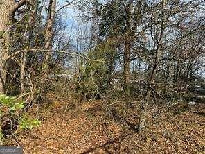 2949 Rosebud Road Loganville, GA 30052 - Photo 38 of 39