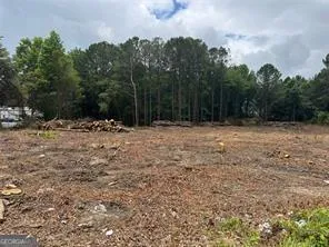 a view of a yard with trees
