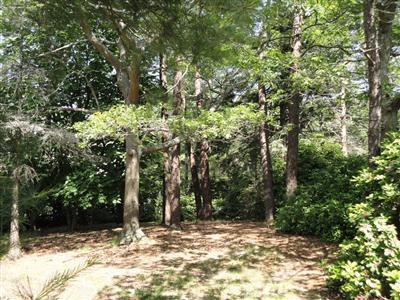 86 Old Farm Road Centerville, MA 02632 - Photo 5 of 10 a view of a yard with large tree