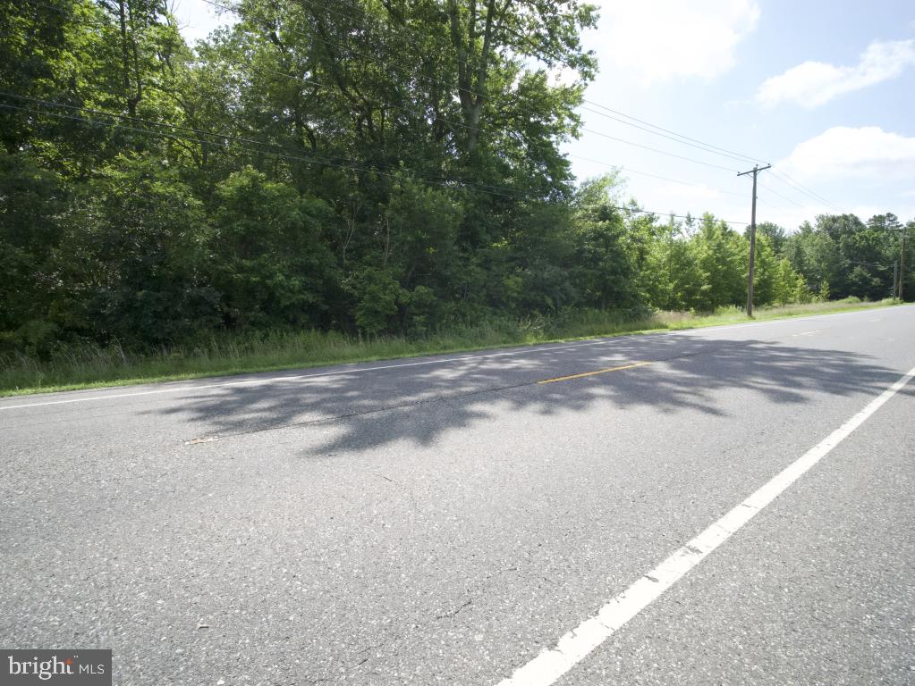 755 Buck Road Monroeville, NJ 08343 - Photo 11 of 20 a view of a dirt road with trees in the background