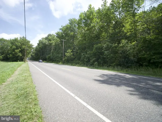 a view of a road with a trees