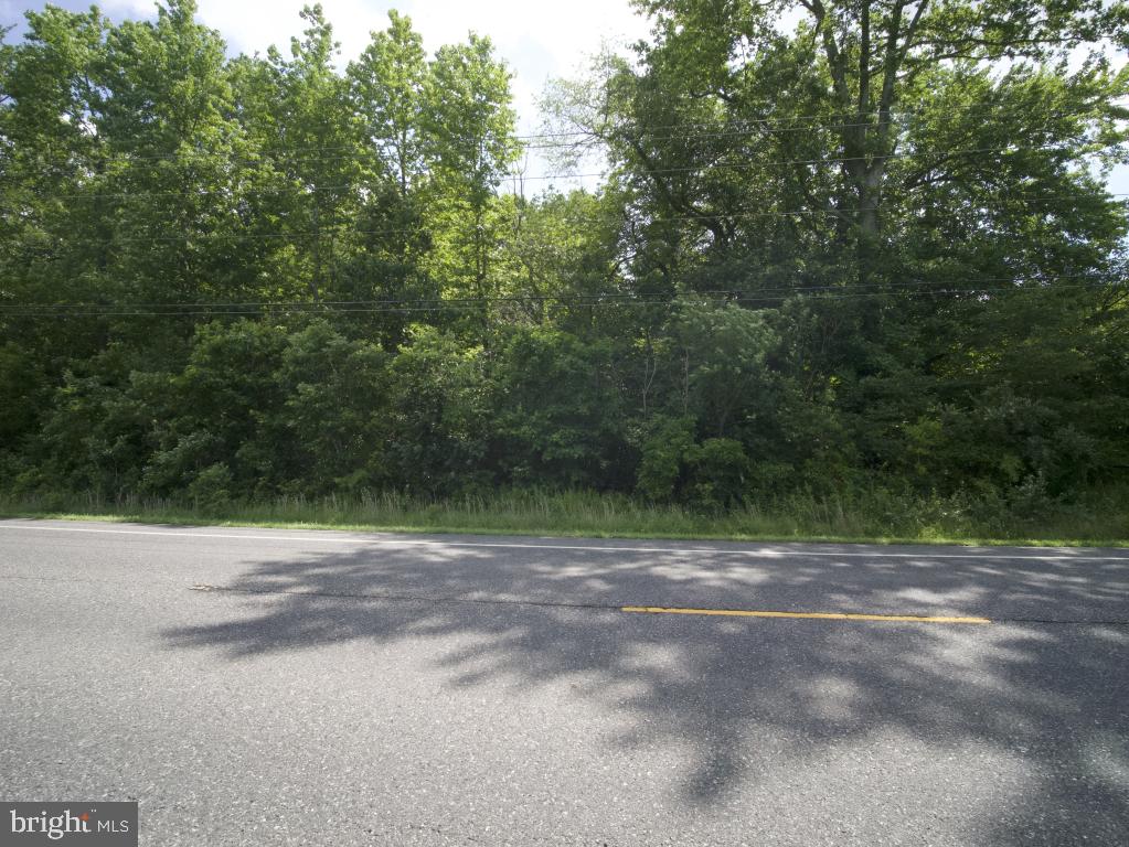 755 Buck Road Monroeville, NJ 08343 - Photo 13 of 20 a view of a road with a trees