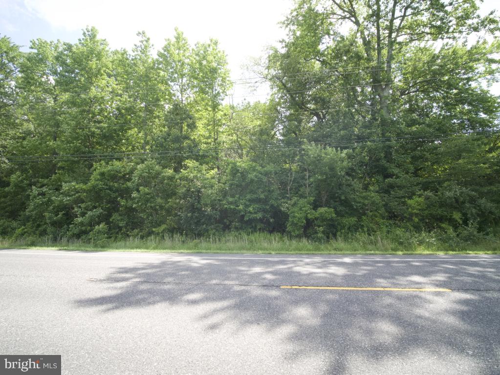 755 Buck Road Monroeville, NJ 08343 - Photo 14 of 20 a view of outdoor space and yard