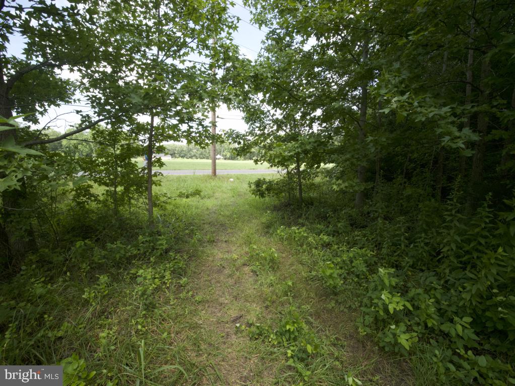 755 Buck Road Monroeville, NJ 08343 - Photo 15 of 20 a view of yard