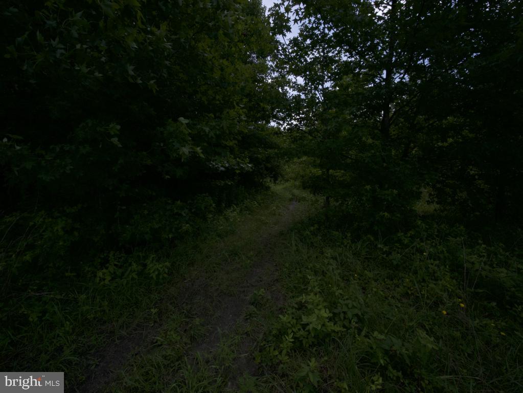 755 Buck Road Monroeville, NJ 08343 - Photo 19 of 20 a view of outdoor space and yard