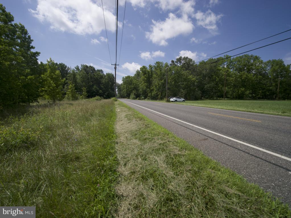 755 Buck Road Monroeville, NJ 08343 - Photo 20 of 20 a view of a big yard with large trees