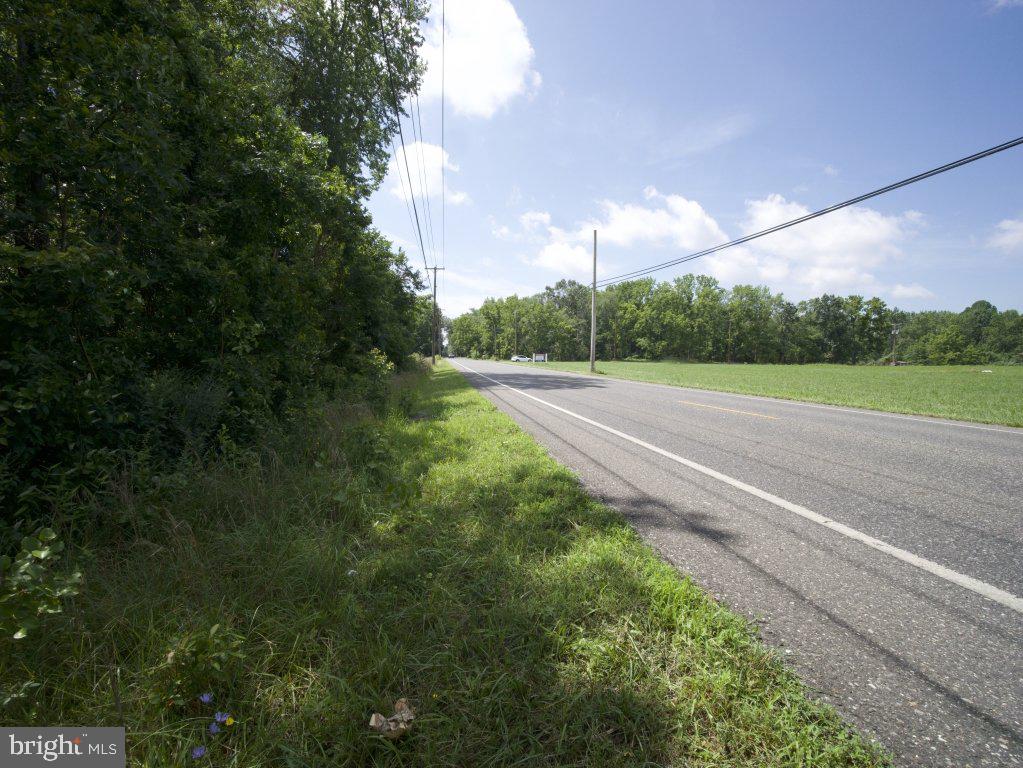 755 Buck Road Monroeville, NJ 08343 - Photo 6 of 20 a view of a yard with an outdoor space