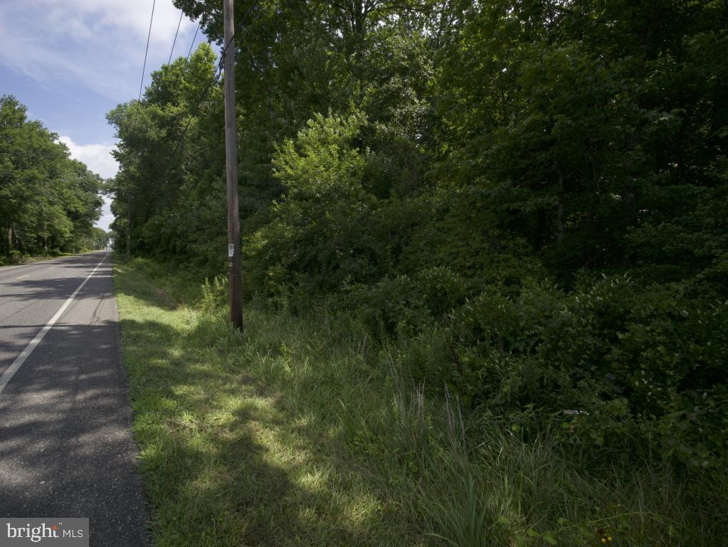 755 Buck Road Monroeville, NJ 08343 - Photo 8 of 20