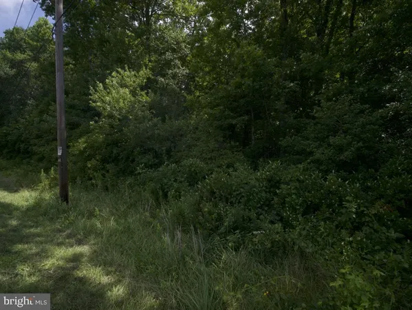 a view of a road with trees in the background