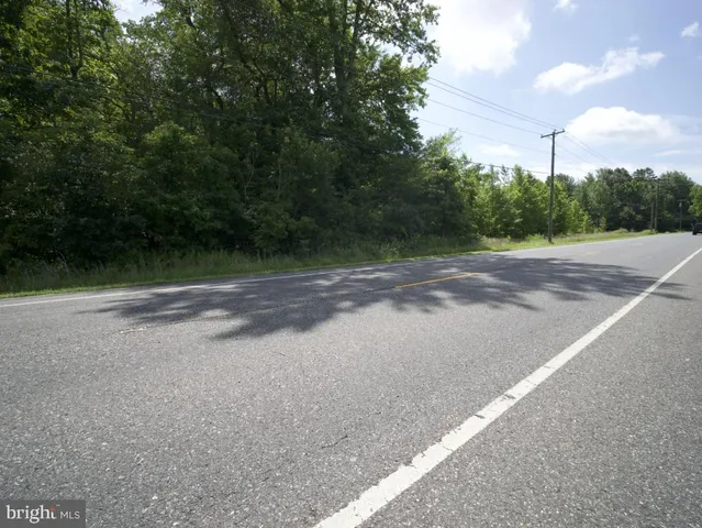 a view of a dirt road with trees in the background