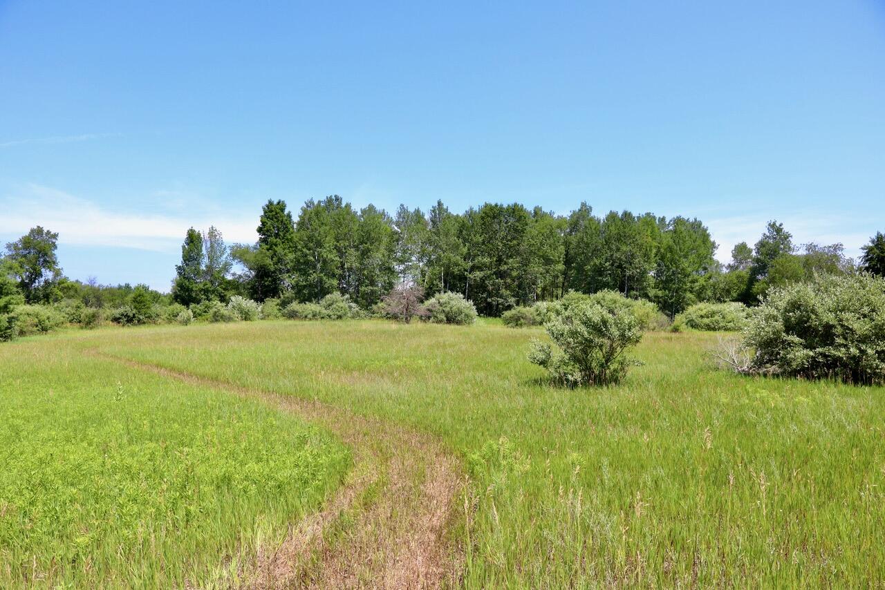 4718 Church Road Six Lakes, MI 48886 - Photo 14 of 76 014