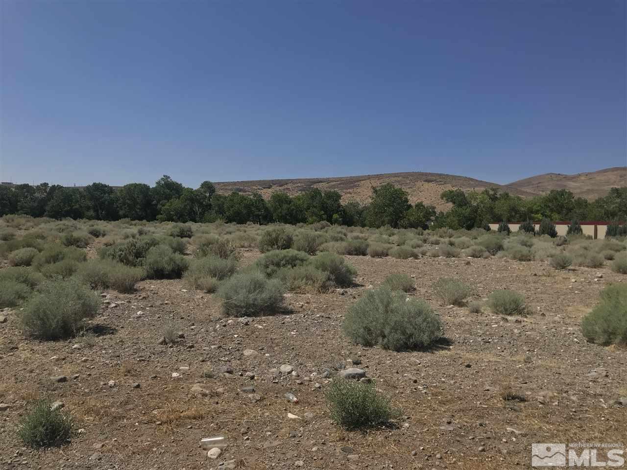 222 Dayton Valley Road Dayton, NV 89403 - Photo 4 of 7 Photo 4