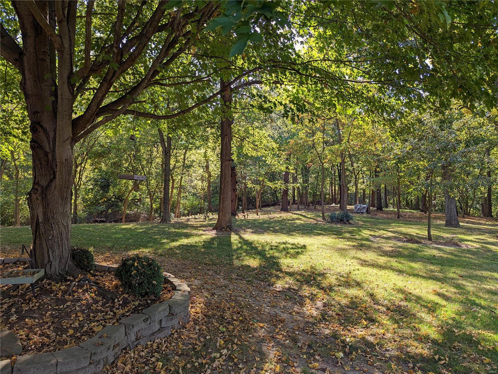 13853 Kayser Road Highland, IL 62249 - Photo 60 of 82