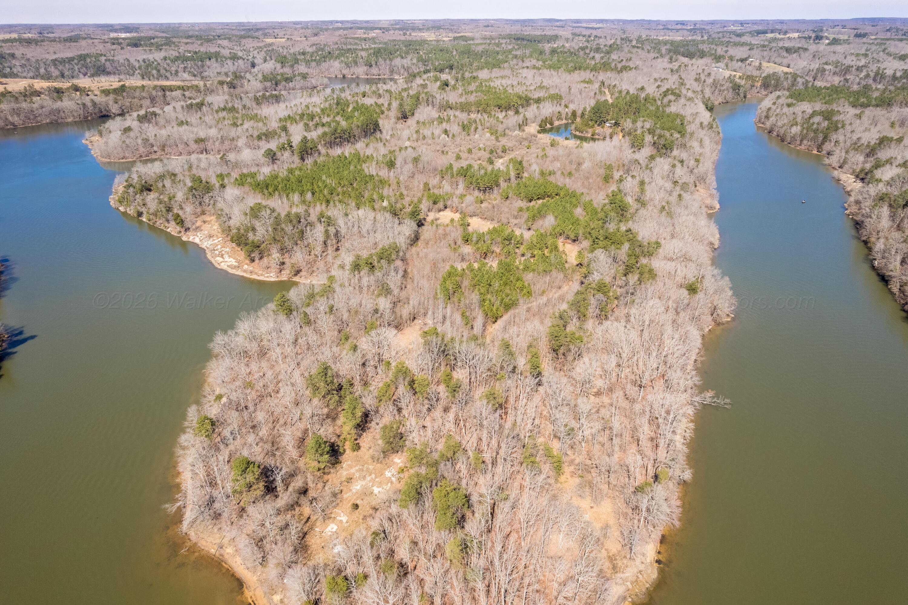 0 Dime Road Phil Campbell, AL 35581 - Photo 1 of 18 Aerial