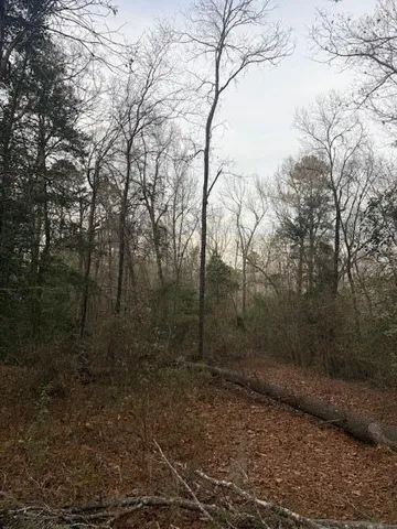 $69,900 | 2005 McDade Road, Hephzibah, GA 30815