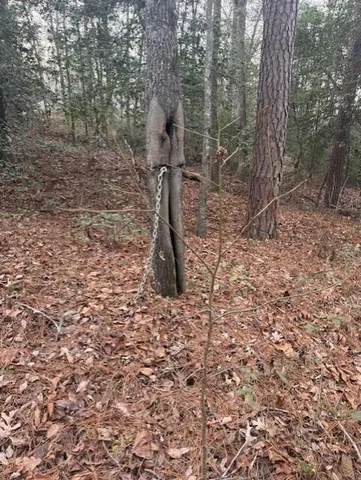 $69,900 | 2005 McDade Road, Hephzibah, GA 30815