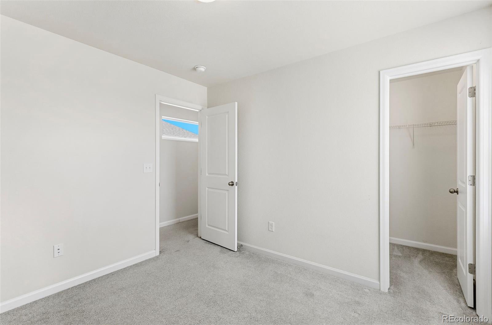 4121 Jericho Loop Colorado Springs, CO 80916 - Photo 20 of 35