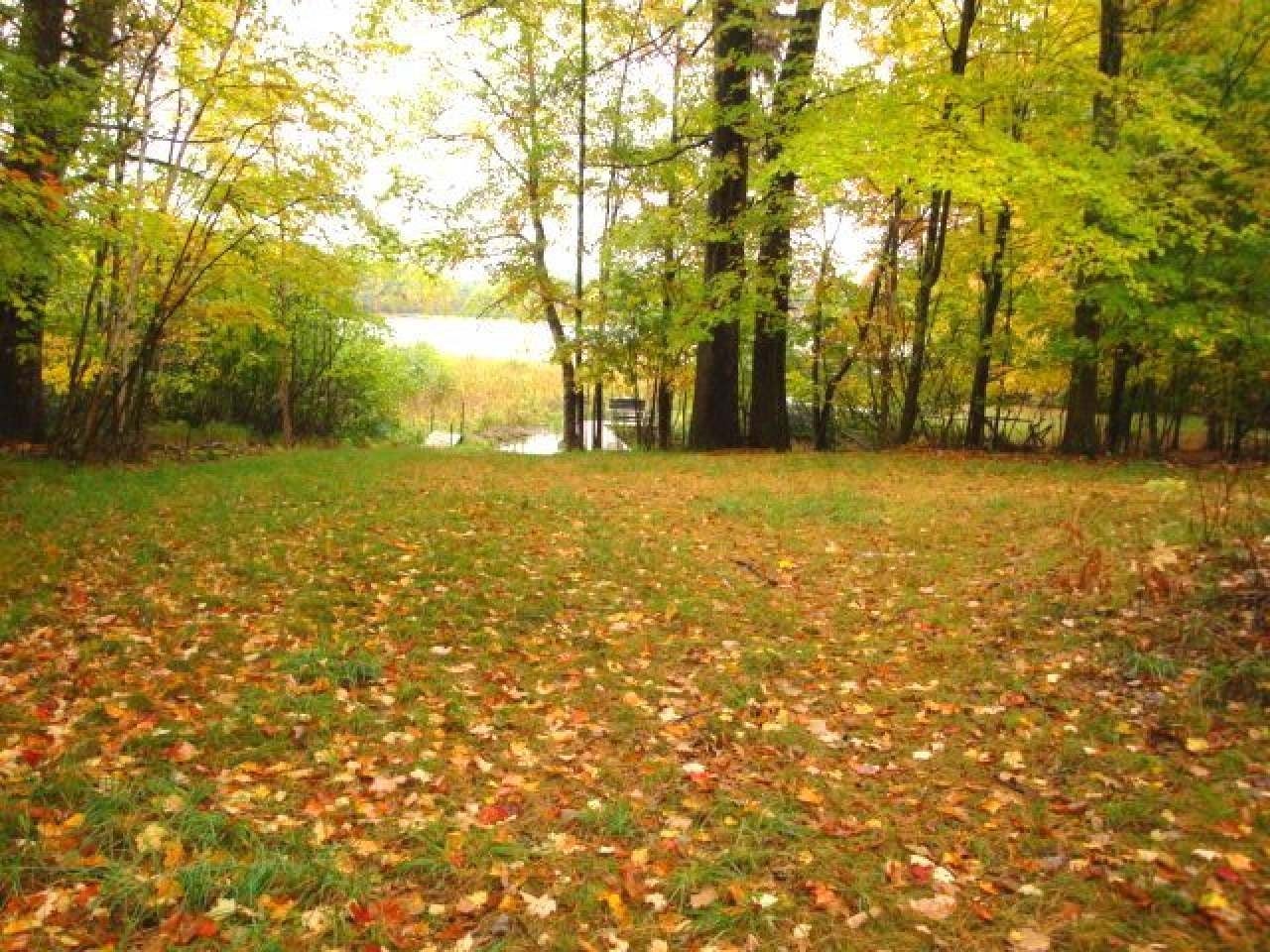 On Spruce Road Woodruff, WI 54568 - Photo 2 of 12 Gallery Image 2