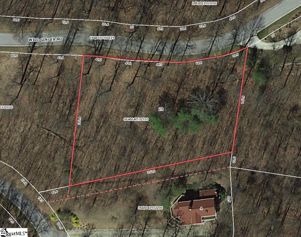 28 Wild Ginger Road Landrum, SC 29356 - Photo 3 of 4