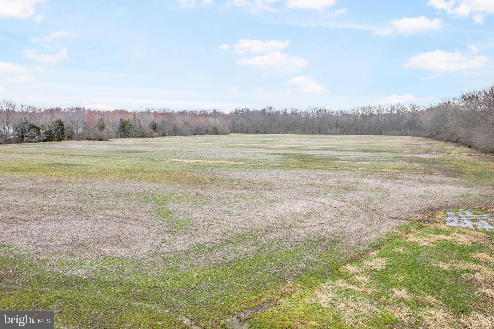 0 Walker School Road Townsend, DE 19734 - Photo 11 of 12