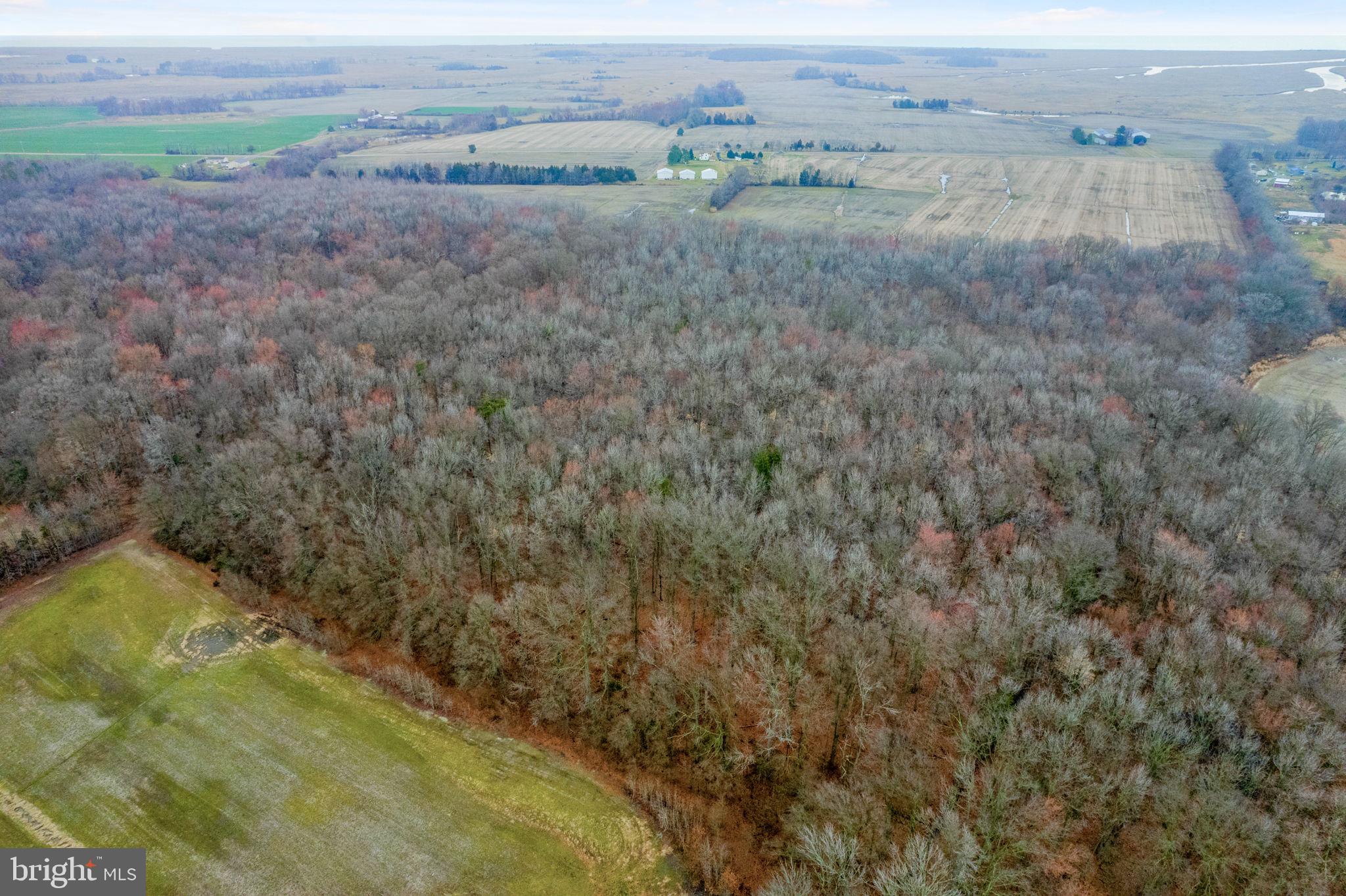 0 Walker School Road Townsend, DE 19734 - Photo 7 of 12