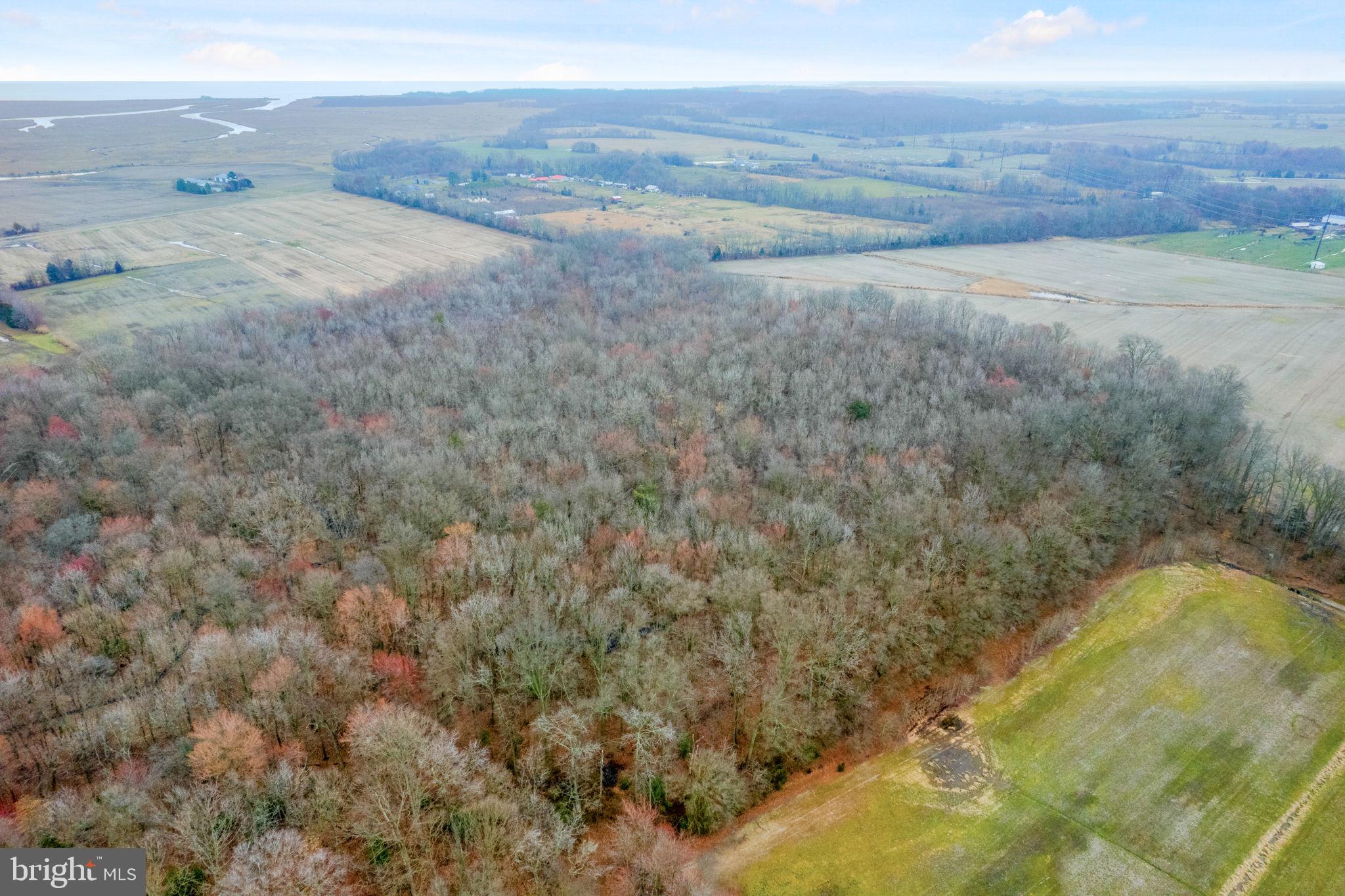 0 Walker School Road Townsend, DE 19734 - Photo 8 of 12