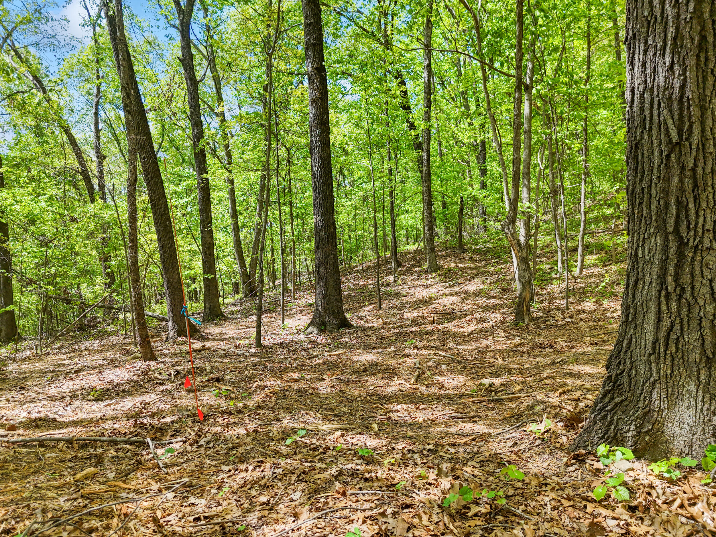 Lot 8 McDonald Road McDonald, TN 37353 - Photo 11 of 25 Photo