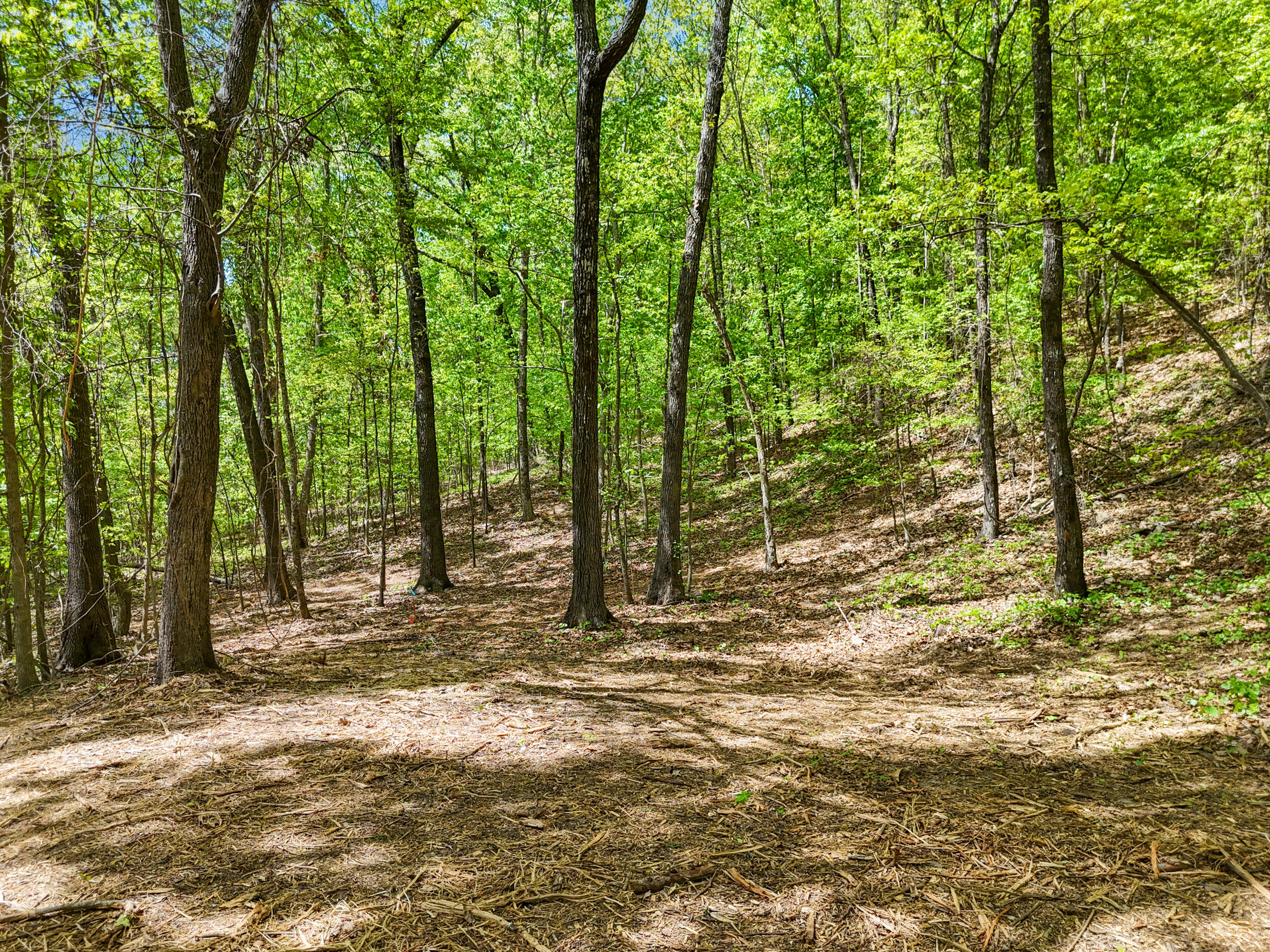 Lot 8 McDonald Road McDonald, TN 37353 - Photo 12 of 25 Photo