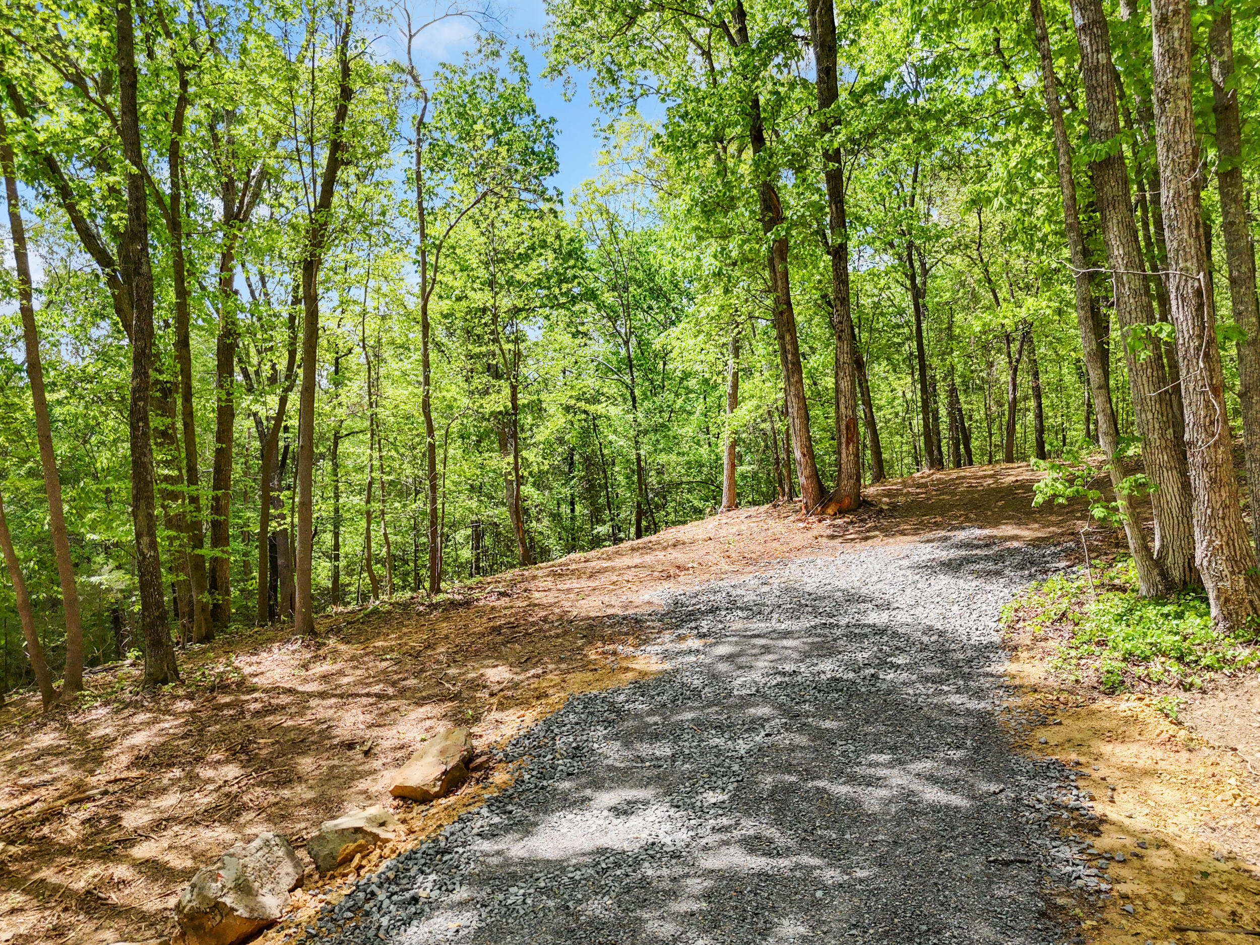 Lot 8 McDonald Road McDonald, TN 37353 - Photo 13 of 25 Photo