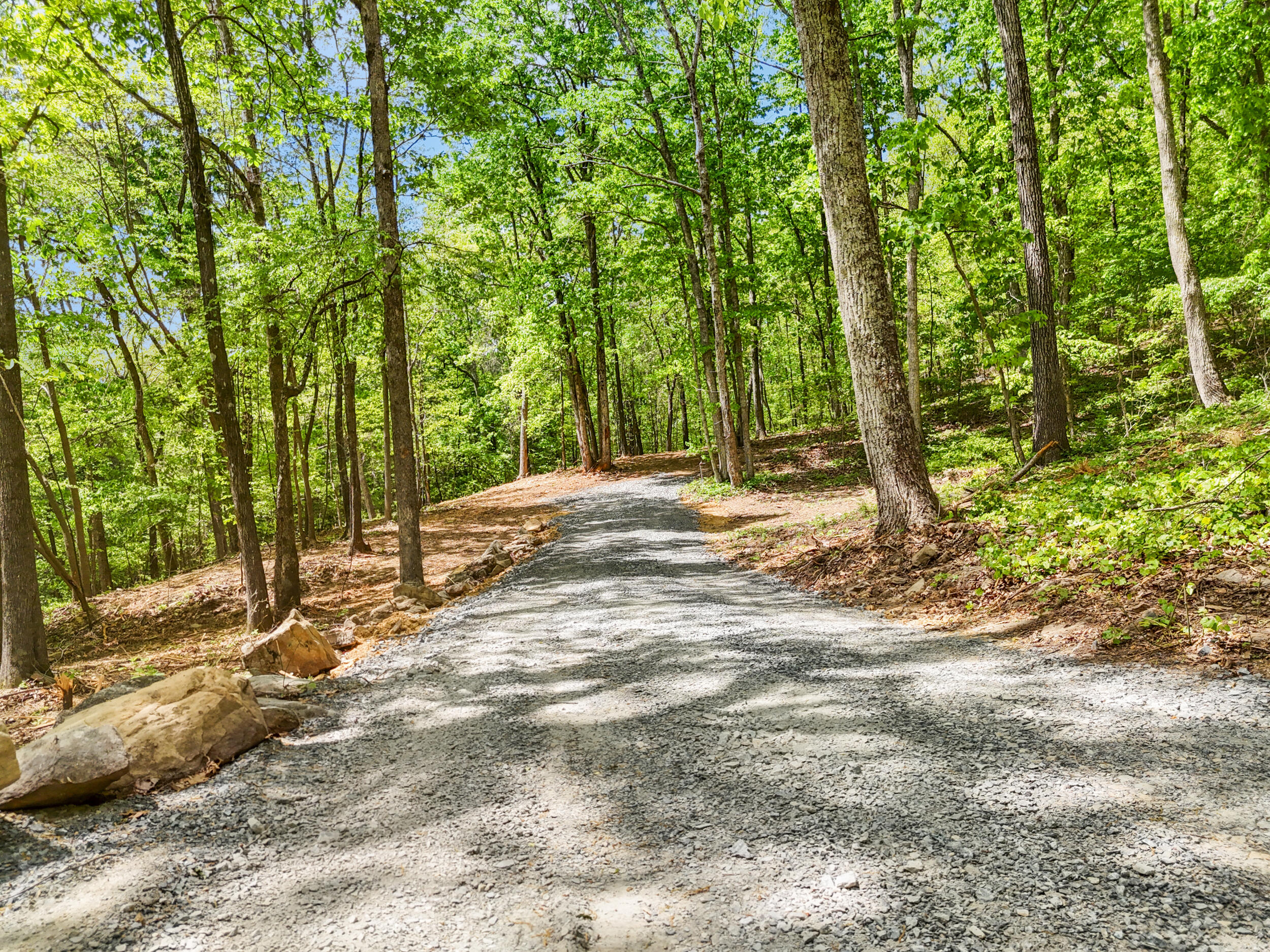 Lot 8 McDonald Road McDonald, TN 37353 - Photo 14 of 25 Photo