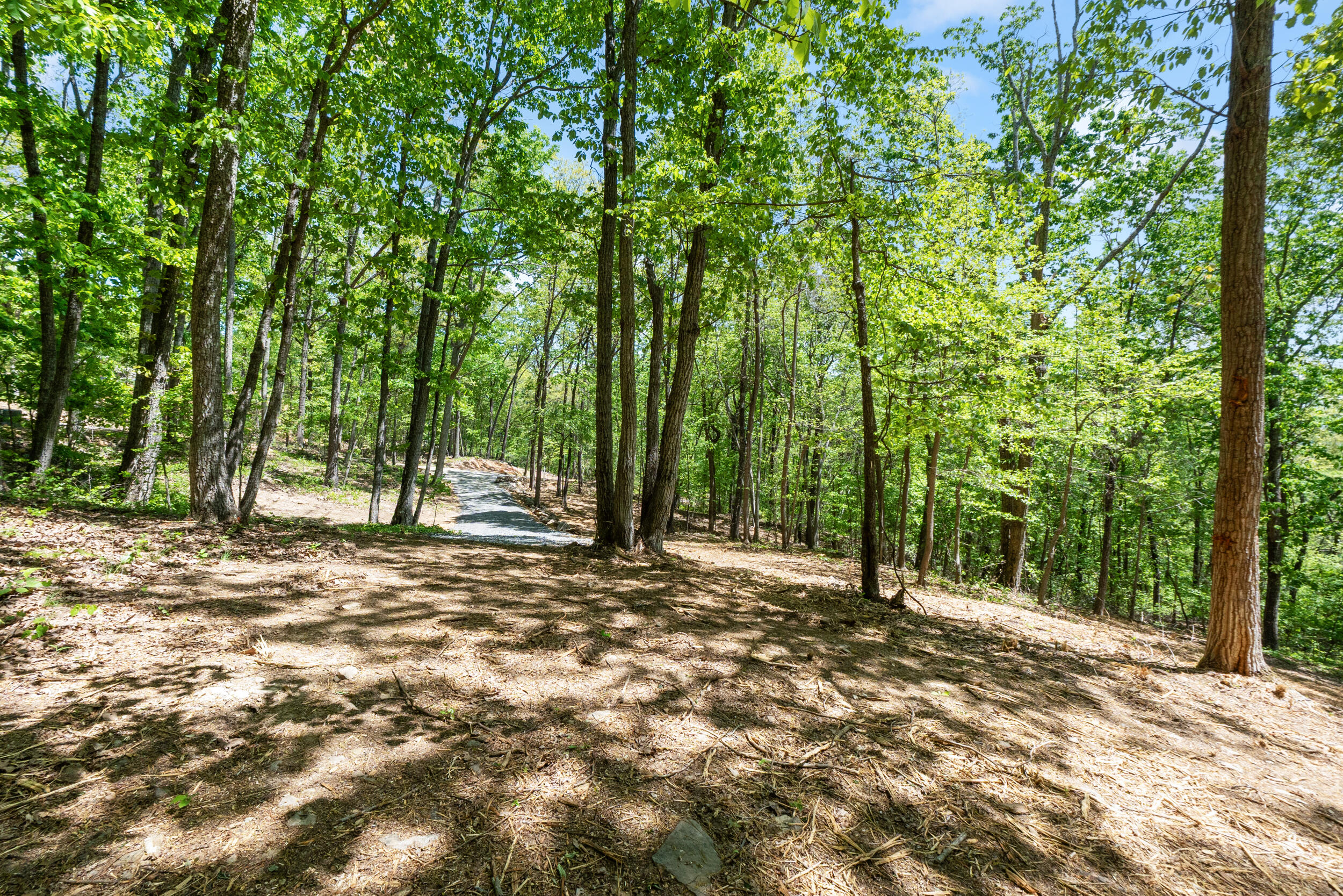 Lot 8 McDonald Road McDonald, TN 37353 - Photo 18 of 25 Photo