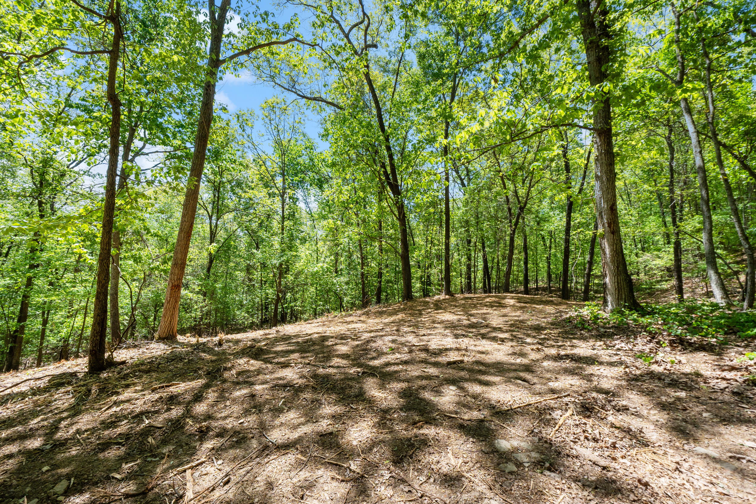 Lot 8 McDonald Road McDonald, TN 37353 - Photo 2 of 25 Photo