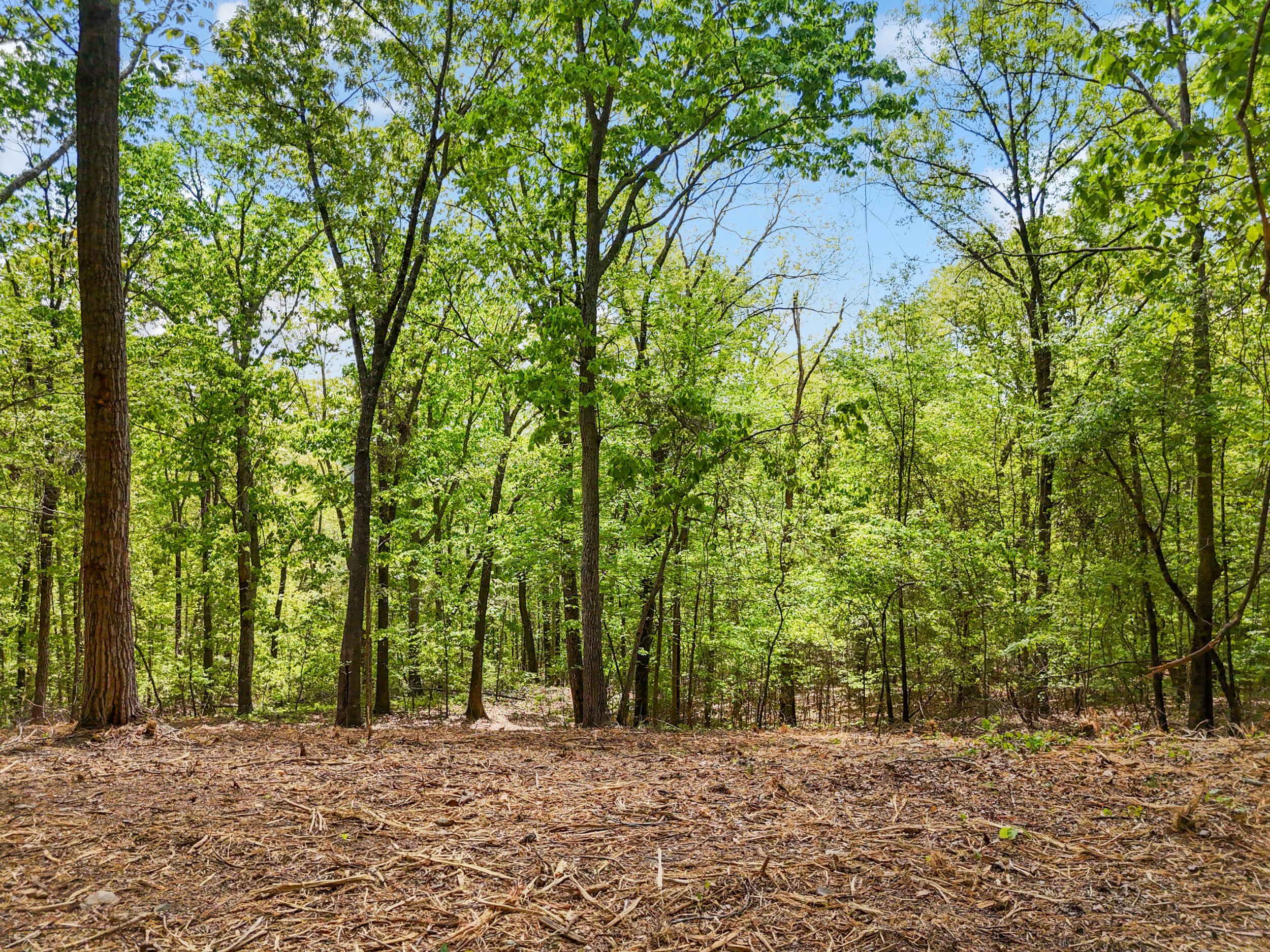 Lot 8 McDonald Road McDonald, TN 37353 - Photo 3 of 25 Photo