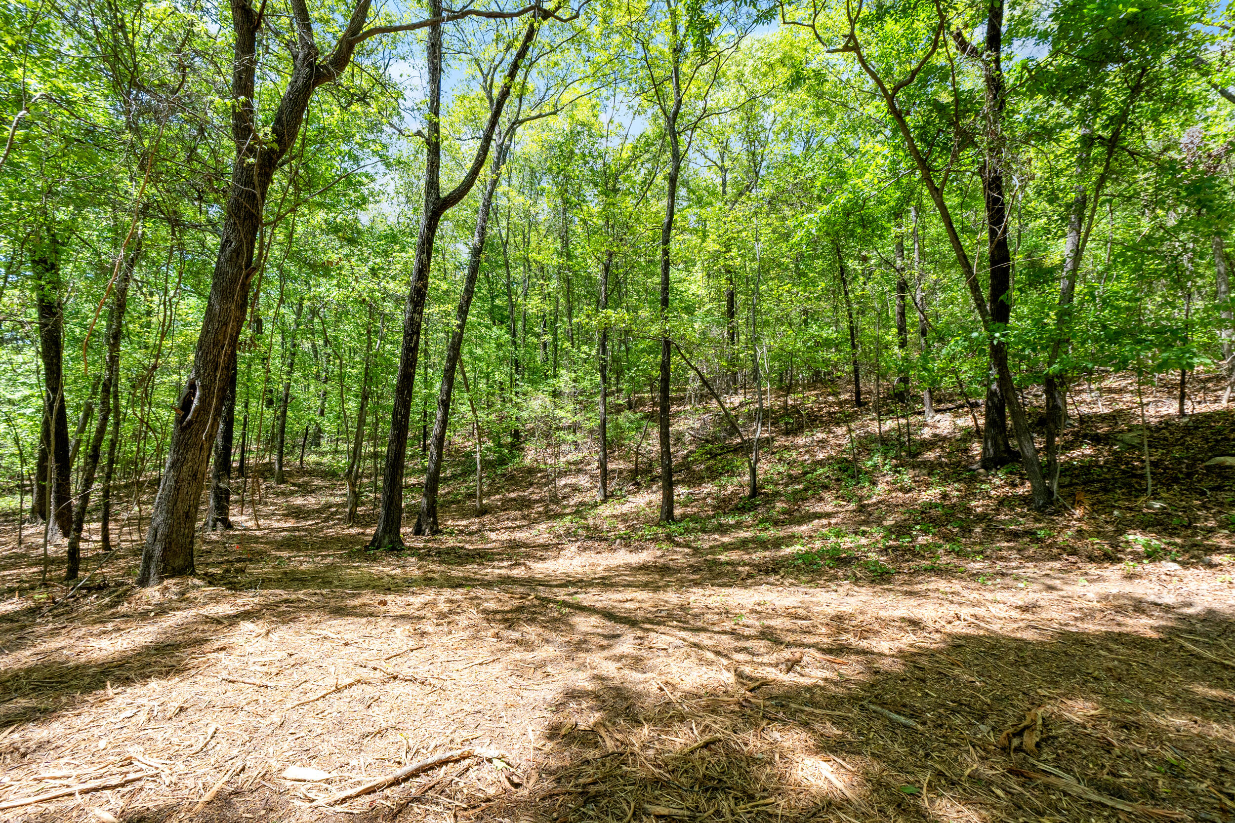 Lot 8 McDonald Road McDonald, TN 37353 - Photo 4 of 25 Photo