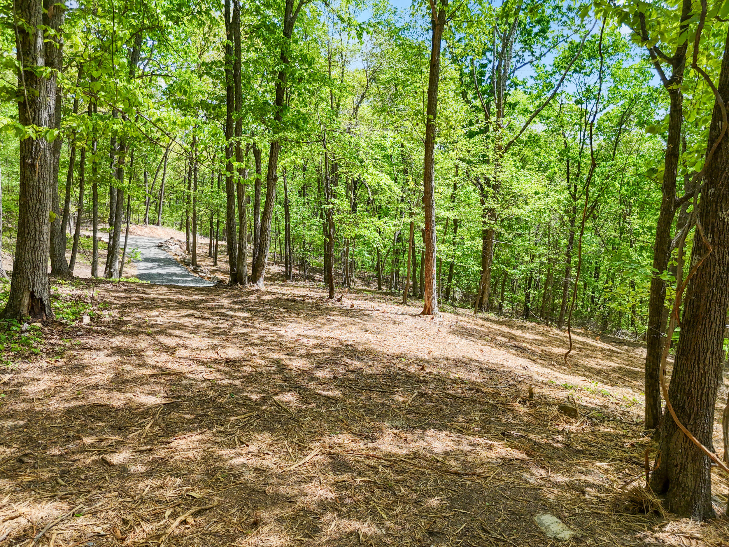 Lot 8 McDonald Road McDonald, TN 37353 - Photo 8 of 25 Photo