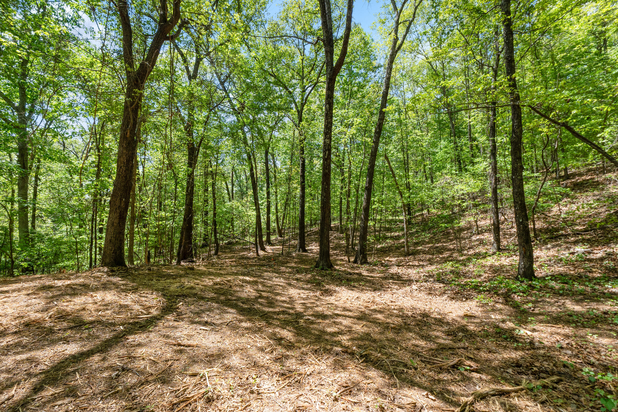 Lot 8 McDonald Road McDonald, TN 37353 - Photo 10 of 25 Photo