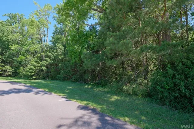 $22,000 | 458 Batchelor Bay Drive, Windsor, NC 27983