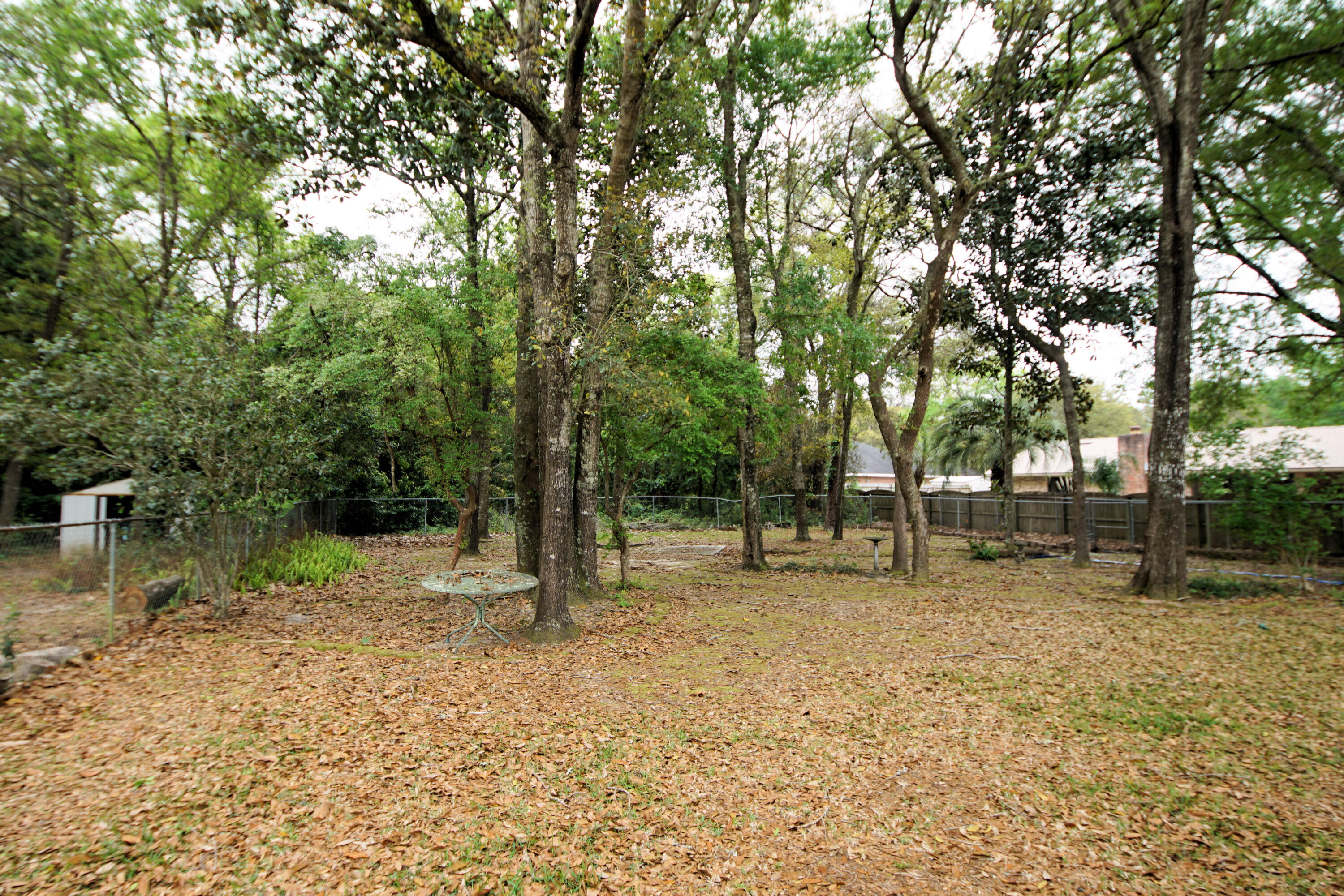 600 Northwest Mooney Road Fort Walton Beach, FL 32547 - Photo 9 of 35 a backyard of a house with lots of green space