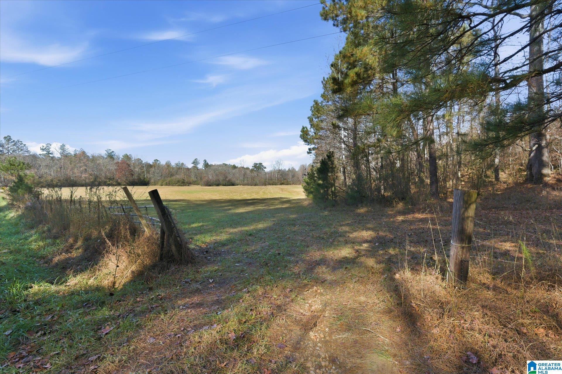 0 County Road 84 Heflin, AL 36264 - Photo 10 of 20