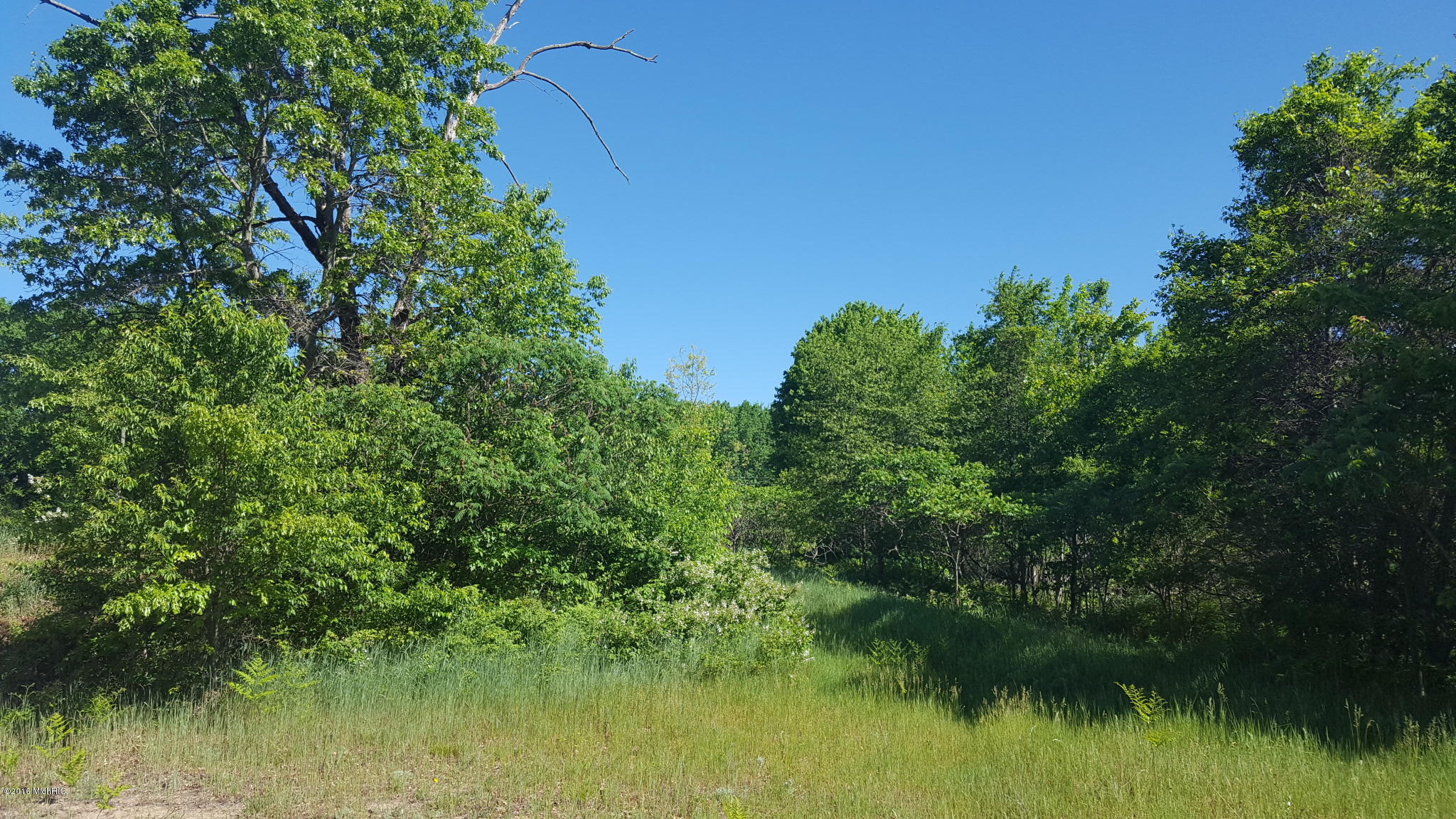 4853 Loop Road Hesperia, MI 49421 - Photo 4 of 15 3