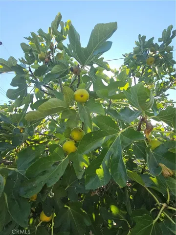 $834,000 | 330 West Payson Street, Glendora, CA 91740