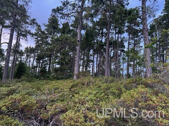 Tbd Woodland Road Copper Harbor, MI 49918 - Photo 12 of 17 Gallery Image 12