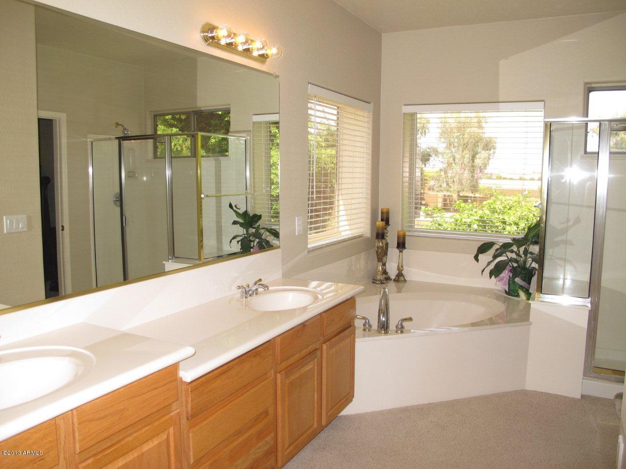 263 East Bridle Way Gilbert, AZ 85295 - Photo 27 of 43 MBATH1