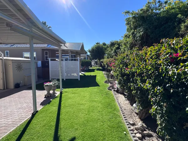 a view of a backyard with potted plants