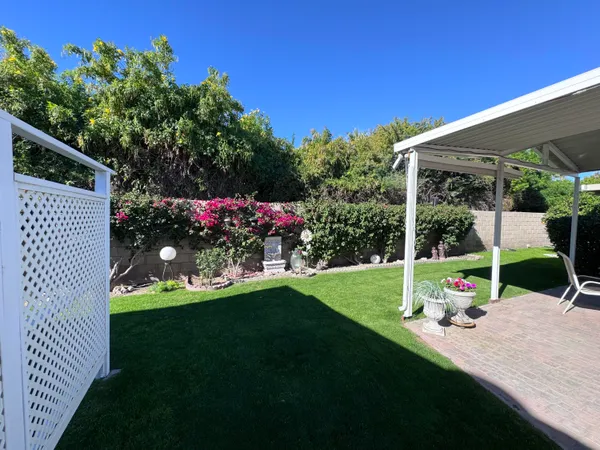 a view of a backyard with a garden and plants