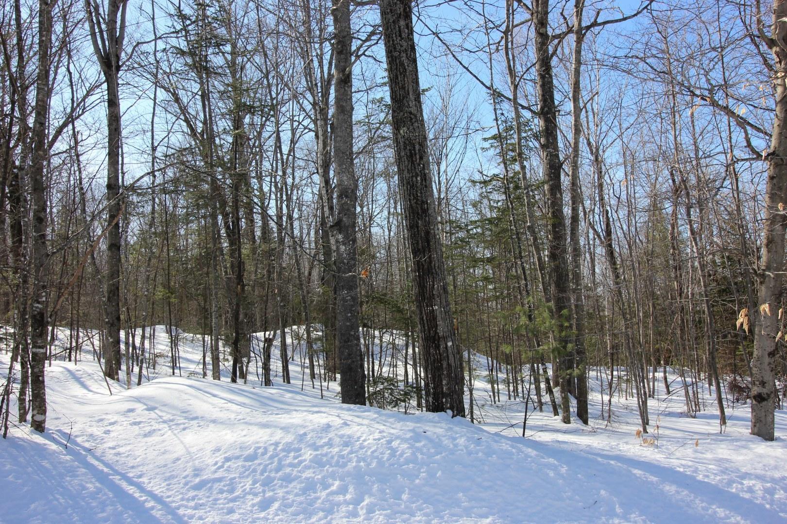 Tbd Tbd Holeman Road Rumford, ME 04276 - Photo 7 of 19 IMG_7848_1620x1080